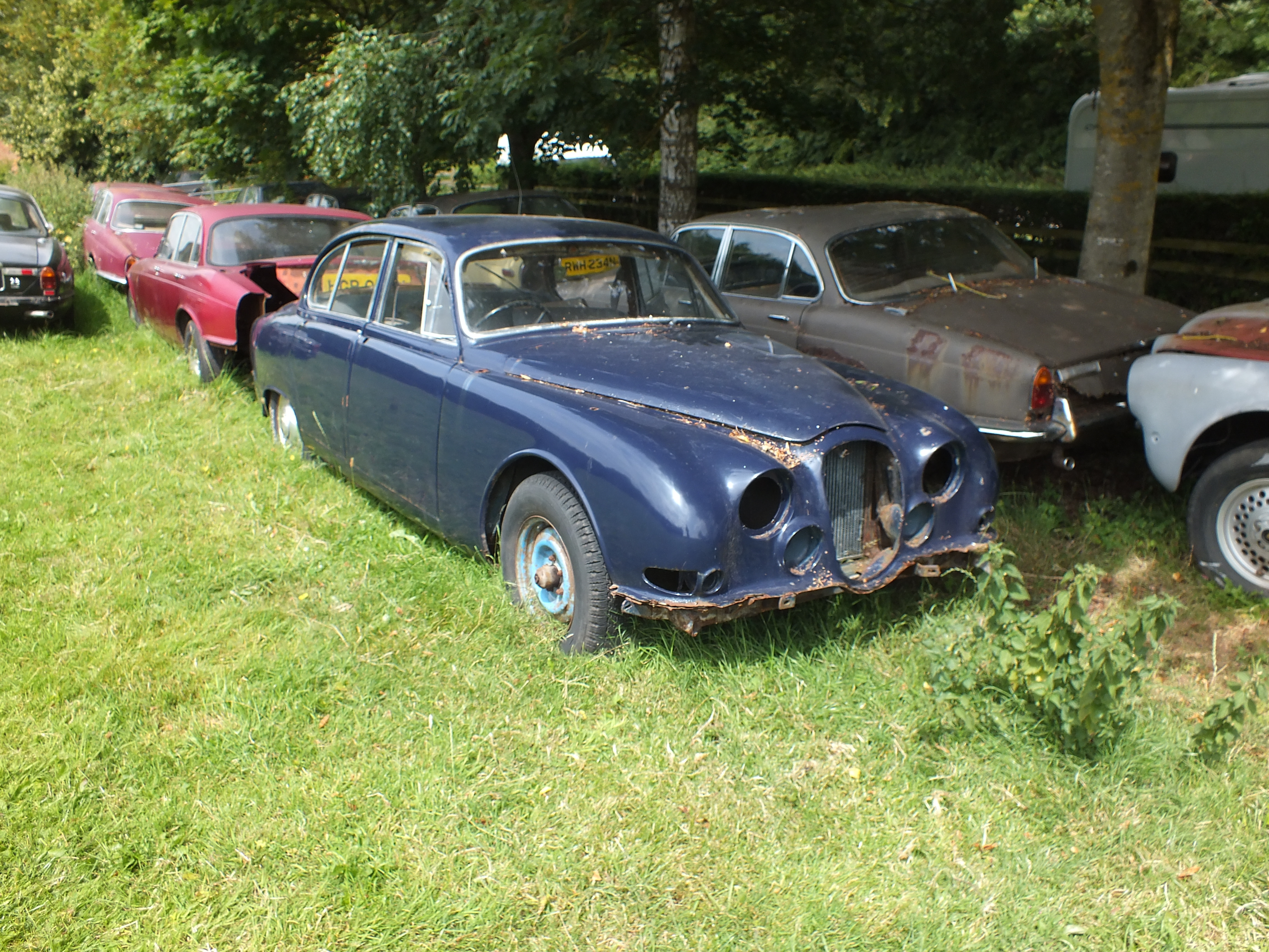 DSCF7833.JPG
