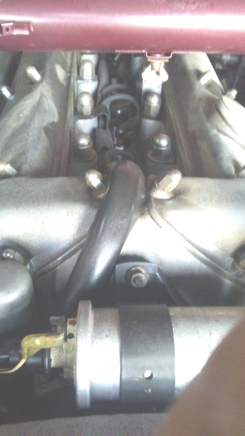 S-type-spark-plug-loom.jpg