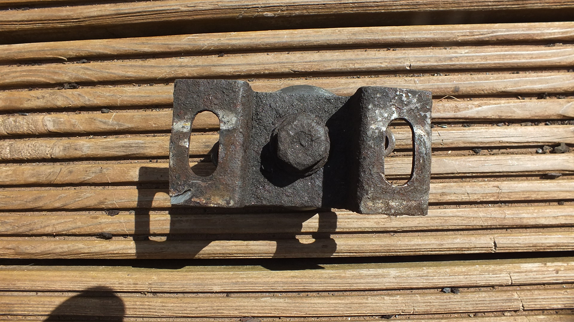 DSCF7701.JPG