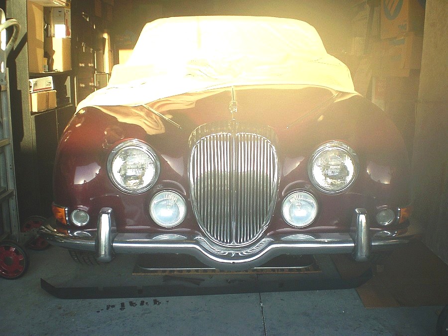 02-Daimler-grille-S type.JPG