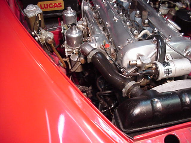 MVC-008S.JPG
