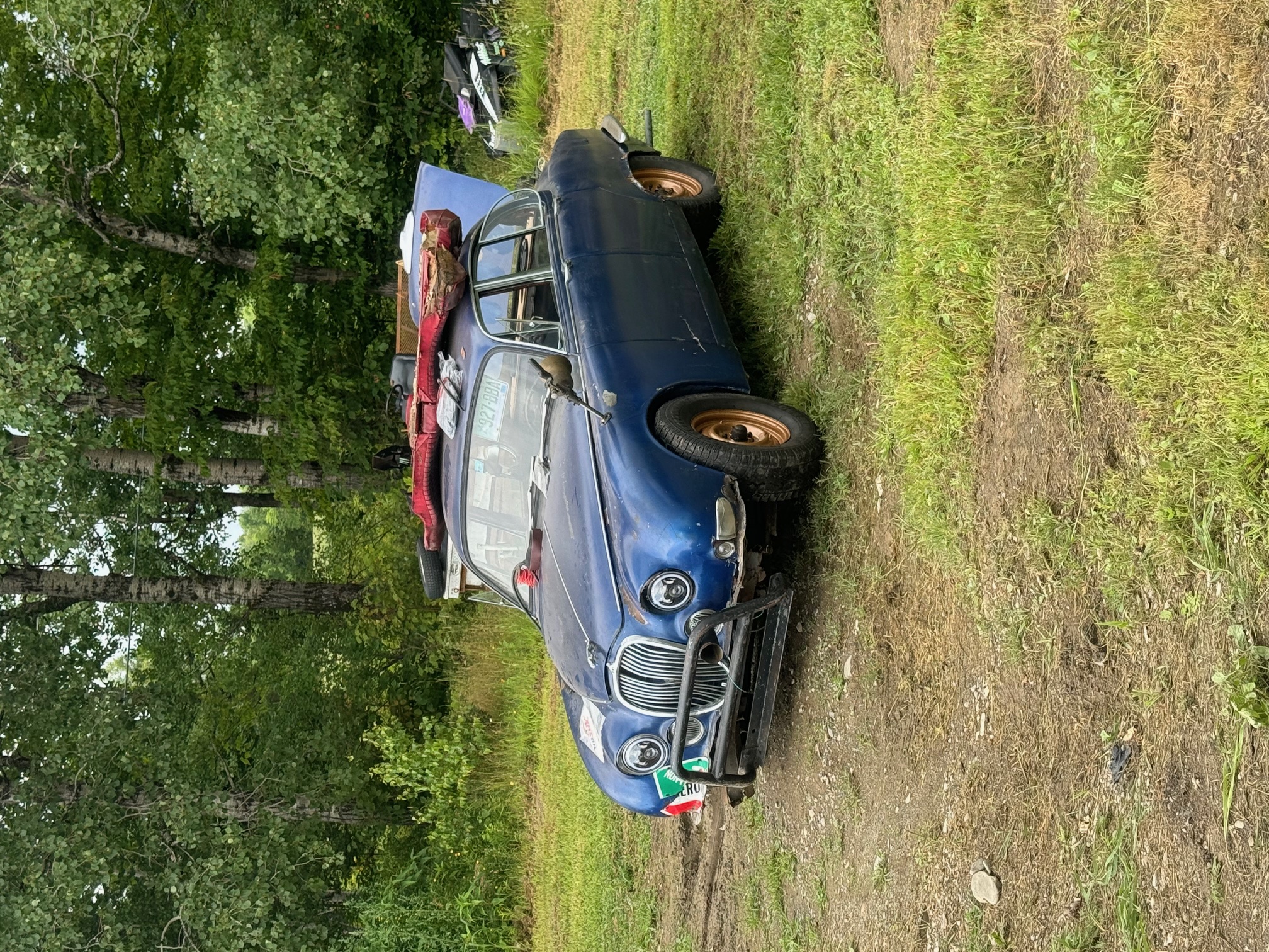 IMG_4951.jpg